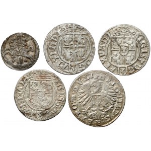 Sigismund III. Vasa, von dwudenar zu półtorak 1608-1625 (5pc)