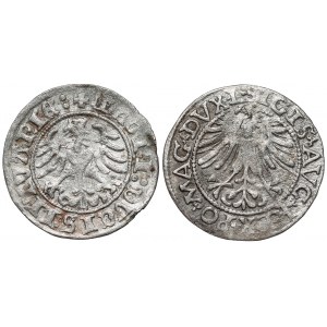 Sigismund I the Old and II Augustus, Vilnius 1510 and 1562 half-penny with TOPOR (2pcs)