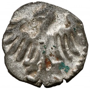 Ladislaus III Varna, Denarius of Cracow