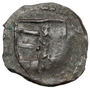Moldavské hospodárstvo, Alexander I. (1400-1432), Suceavský polgroš