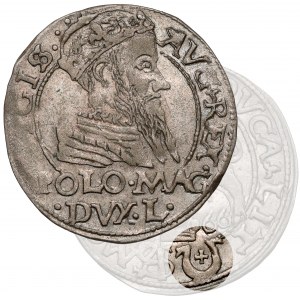 Sigismund II Augustus, Grosz per Polish foot 1566, Tykocin - JASTRZĘBIEC (R5)