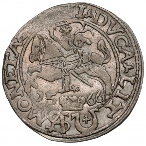 Sigismund II Augustus, Grosz per Polish foot 1566, Tykocin - JASTRZĘBIEC (R5)