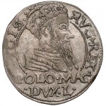 Zygmunt II August, Grosz na stopę polską 1566, Tykocin - JASTRZĘBIEC (R5)