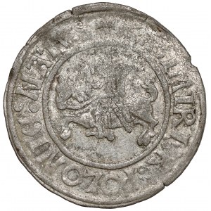 Sigismund I. der Alte, Glogower Pfennig ohne Datum - selten