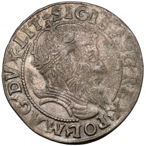 Sigismund II. Augustus, litauischer Fußpfennig 1555, Vilnius