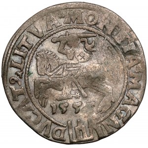 Sigismund II. Augustus, litauischer Fußpfennig 1555, Vilnius