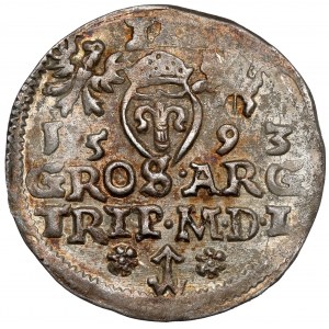 Zikmund III Vasa, Trojka Vilnius 1593 - Platina