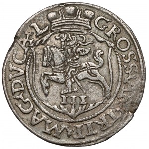 Sigismund II Augustus, Trojak Vilnius 1564