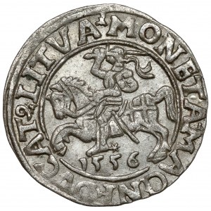 Sigismund II Augustus, Half-grosz Vilnius 1556