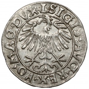 Zikmund II August, půlpenny Vilnius 1556