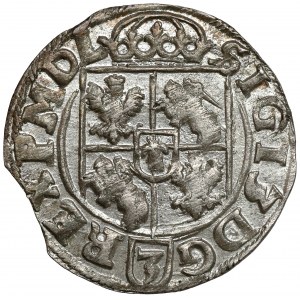 Žigmund III Vasa, poltopánka Bydgoszcz 1618 - POL - krásna