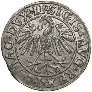 Zikmund II August, půlpenny Vilnius 1547