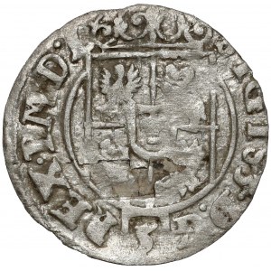 Žigmund III Vasa, polovičná stopa Bydgoszcz 1624 - MON★E - vzácne