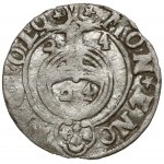 Sigismund III. Vasa, Halbspur Bydgoszcz 1624 - MON★E - selten