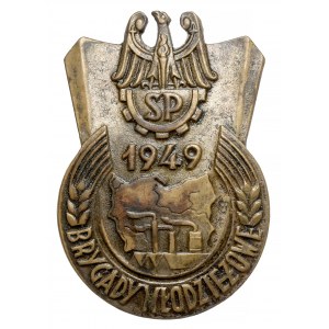 Youth Brigades Badge 1949