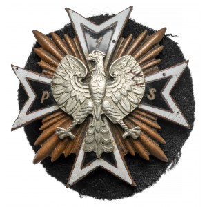 Odznaka 1 Pułk Samochodowy
