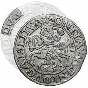 Sigismund II Augustus, halber Pfennig Vilnius 1557 - Behm - DVG Fehler - nicht beschrieben