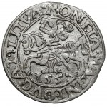 Sigismund II Augustus, Half-penny Vilnius 1557 - Behm - DVG error - undescribed