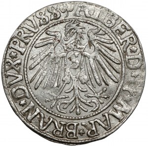 Prusy, Albrecht Hohenzollern, Grosz Królewiec 1541