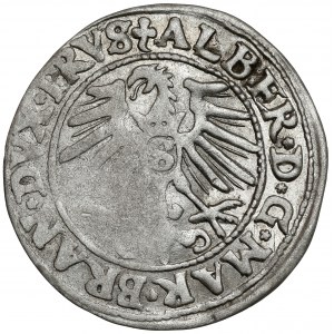 Prusko, Albrecht Hohenzollern, Grosz Königsberg 1548 - vzácné