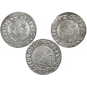Prussia, Albrecht Hohenzollern, Königsberg penny 1544-1546, set (3pcs)