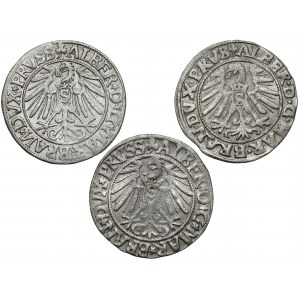 Preußen, Albrecht Hohenzollern, Königsberger Pfennig 1544-1546, Satz (3tlg.)