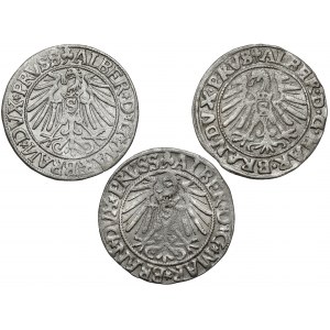 Prusko, Albrecht Hohenzollern, Königsberg penny 1544-1546, sada (3ks)