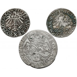 Sigismund II. und Johann II. Kasimir, Halbpfennig 1558-1563 und Sixpence 1660 (3 St.)