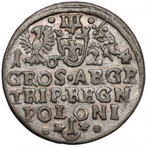 Zikmund III Vasa, Trojak Krakov 1624 - POLONI