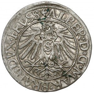 Prusko, Albrecht Hohenzollern, Grosz Königsberg 1538