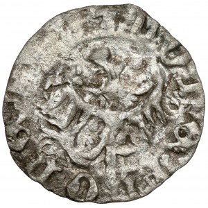 Silesia, Ks. wrocławskie, Halerz XIV c. - lion / eagle - rare