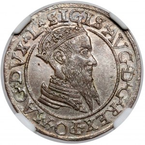 Zygmunt II August, Czworak Wilno 1566 - okazowy