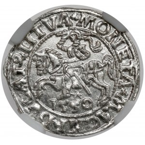 Sigismund II Augustus, halber Pfennig Vilnius 1550 - SCHÖN