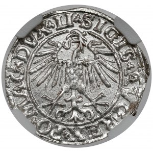 Zikmund II August, půlgroš Vilnius 1550 - KRÁSNÝ