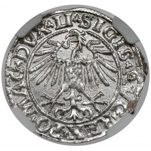 Sigismund II Augustus, halber Pfennig Vilnius 1550 - SCHÖN