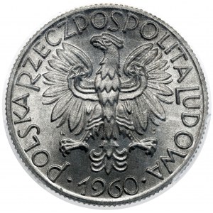 5 złotych 1960 Rybak