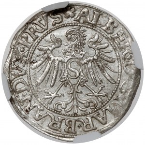Prussia, Albrecht Hohenzollern, Grosz Königsberg 1534