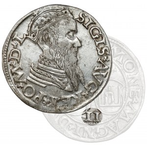 Sigismund II Augustus, Zweihörner Vilnius 1565 - sehr selten