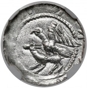 Ladislaus II the Exile, Denarius - Eagle and Hare - BEAUTIFUL