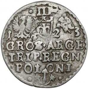 Žigmund III Vasa, Trojak Krakov 1623 - SIG... POLO