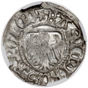 Casimir IV Jagiellonian, Szeląg Gdansk - eagle WITHOUT a crown - minted