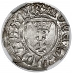 Casimir IV Jagiellonian, Szeląg Gdansk - eagle WITHOUT a crown - minted