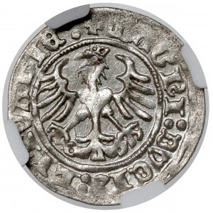 Sigismund I. der Alte, halber Pfennig Vilnius 1513 - 1:3 - geprägt