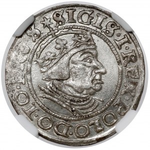 Zikmund I. Starý, Grosz Gdaňsk 1539 - raženo