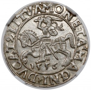 Sigismund II Augustus, halber Pfennig Vilnius 1556 - SCHÖN