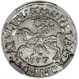 Sigismund II Augustus, halber Pfennig Vilnius 1557 - schön