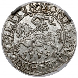 Zikmund II August, půlpenny Vilnius 1559 - vzor