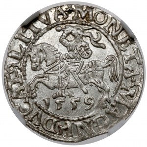 Sigismund II. Augustus, halber Pfennig Vilnius 1559 - Exemplar