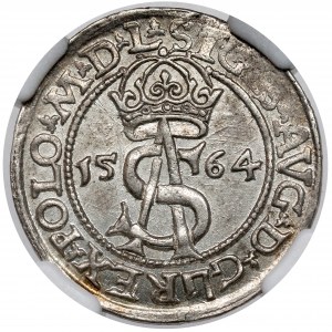 Sigismund II. Augustus, Vilnius-Trojak 1564 - gemünzt