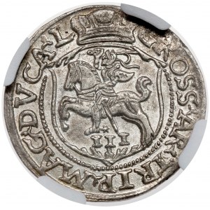 Sigismund II. Augustus, Vilnius-Trojak 1564 - gemünzt
